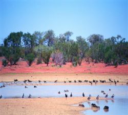 KLEINGRUPPENREISEN - 3 Tage Outback Tropischer Norden